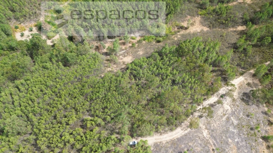 Terreno Agricola ou Rústico para Venda em Santo Andre das Tojeiras Foto 12