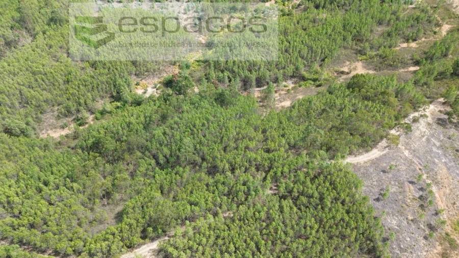 Terreno Agricola ou Rústico para Venda em Santo Andre das Tojeiras Foto 14