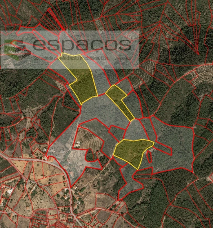 Terreno Agricola ou Rústico para Venda em Santo Andre das Tojeiras Foto 18