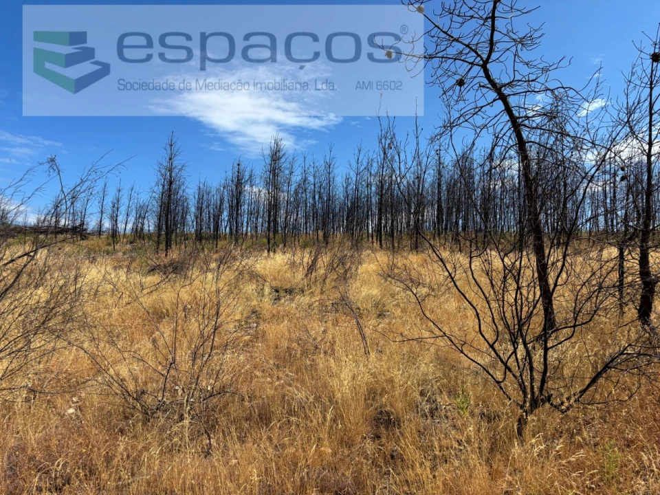 Terreno Agricola ou Rústico para Venda em Santo Andre das Tojeiras Foto 7