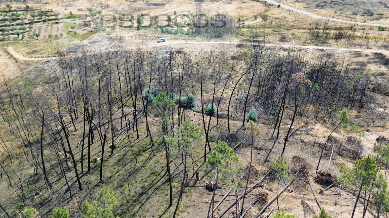 Terreno Agricola ou Rústico para Venda em Santo Andre das Tojeiras Foto 11