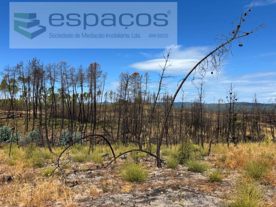 Terreno Agricola ou Rústico para Venda em Santo Andre das Tojeiras Foto 16