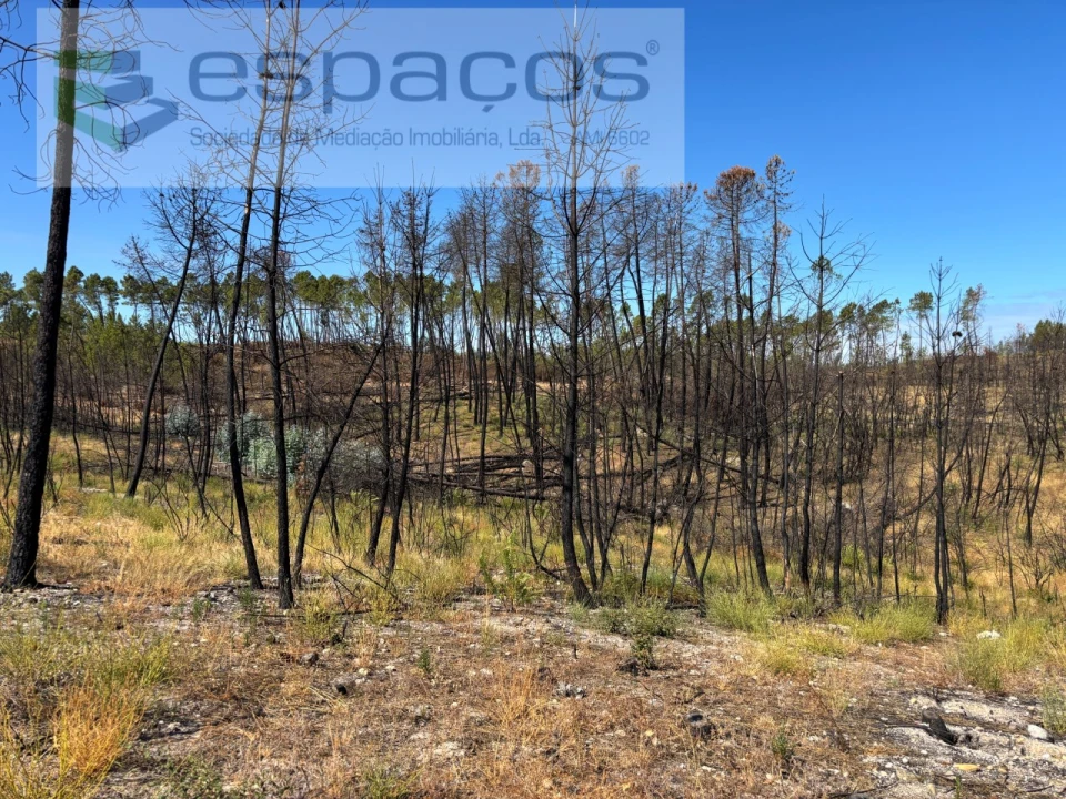 Terreno Agricola ou Rústico para Venda em Santo Andre das Tojeiras Foto 17
