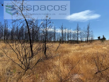 Terreno Agricola ou Rústico para Venda em Santo Andre das Tojeiras