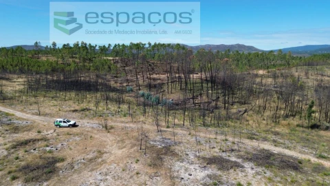 Terreno Agricola ou Rústico para Venda em Santo Andre das Tojeiras