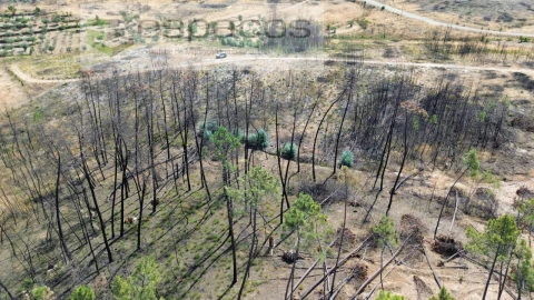 Terreno Agricola ou Rústico para Venda em Santo Andre das Tojeiras