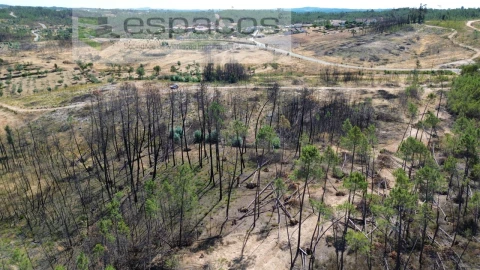 Terreno Agricola ou Rústico para Venda em Santo Andre das Tojeiras