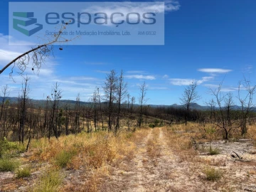Terreno Agricola ou Rústico para Venda em Santo Andre das Tojeiras
