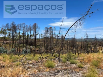 Terreno Agricola ou Rústico para Venda em Santo Andre das Tojeiras