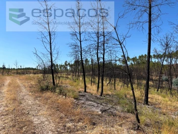 Terreno Agricola ou Rústico para Venda em Santo Andre das Tojeiras