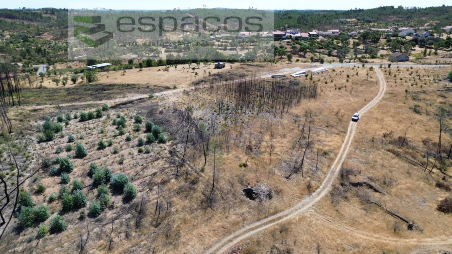 Terreno Agricola ou Rústico para Venda em Santo Andre das Tojeiras Foto 3