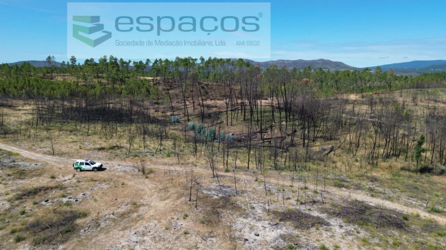 Terreno Agricola ou Rústico para Venda em Santo Andre das Tojeiras Foto 10