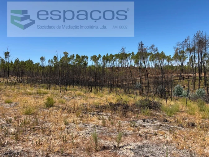 Terreno Agricola ou Rústico para Venda em Santo Andre das Tojeiras Foto 14