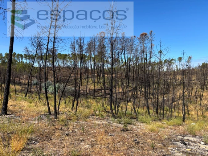 Terreno Agricola ou Rústico para Venda em Santo Andre das Tojeiras Foto 17