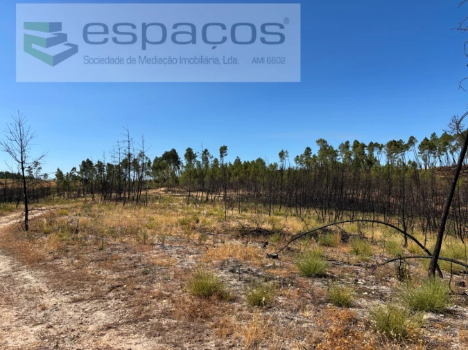 Terreno Agricola ou Rústico para Venda em Santo Andre das Tojeiras Foto 18