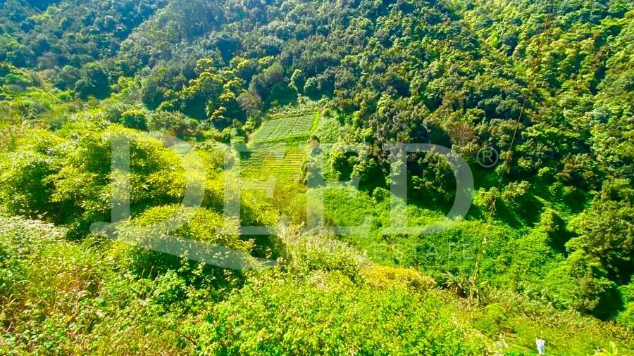 Terreno para Venda em Porto da Cruz