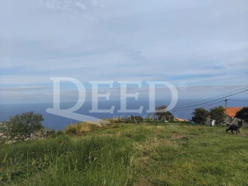 Terreno para Venda em Santa Cruz