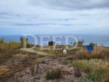 Terreno para Venda em Santa Cruz