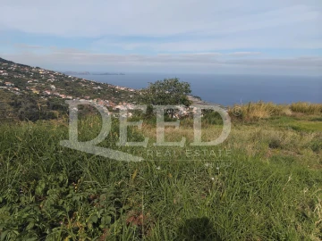 Terreno para Venda em Santa Cruz
