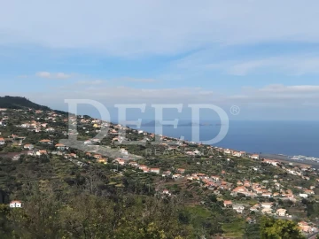 Terreno para Venda em Santa Cruz