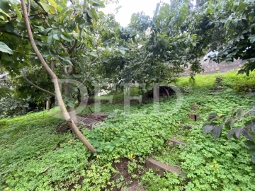 Terreno Agricola ou Rústico para Venda em Santo Antonio