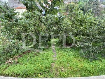 Terreno Agricola ou Rústico para Venda em Santo Antonio