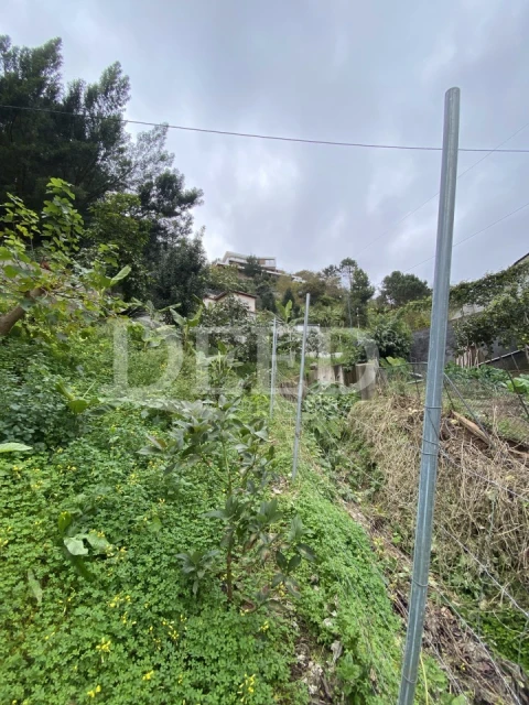 Terreno Agricola ou Rústico para Venda em Santo Antonio