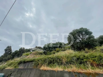 Terreno para Venda em Santa Cruz