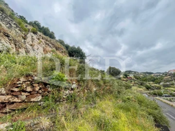 Terreno para Venda em Santa Cruz