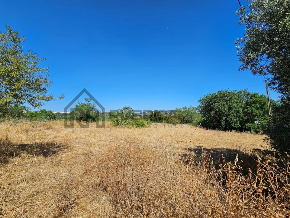 Quinta T5 para Venda em Loule (São Clemente) Foto 3
