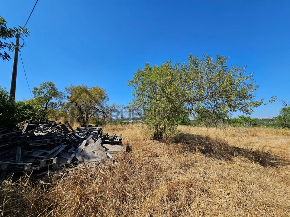 Quinta T5 para Venda em Loule (São Clemente) Foto 4