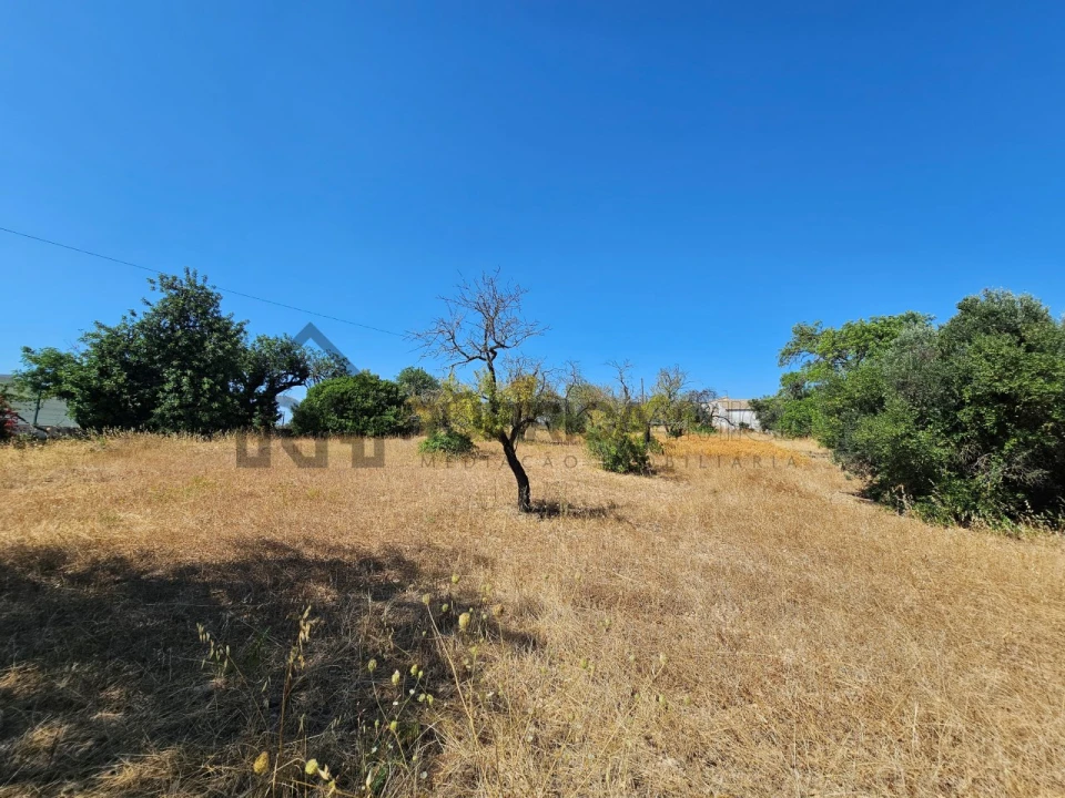 Quinta T5 para Venda em Loule (São Clemente) Foto 10