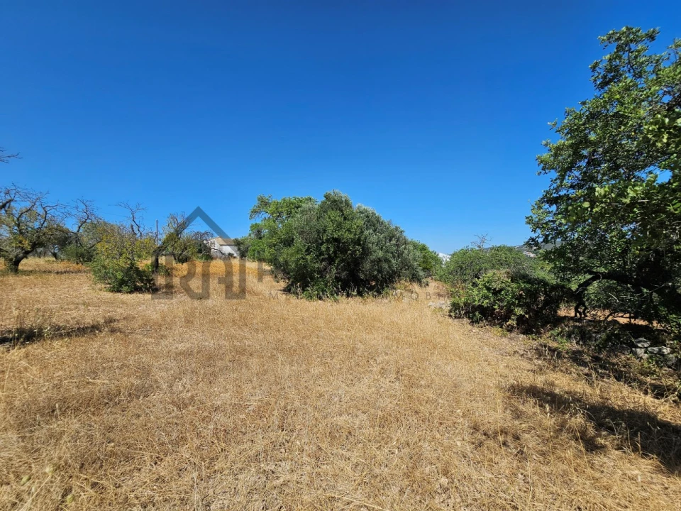 Quinta T5 para Venda em Loule (São Clemente) Foto 11