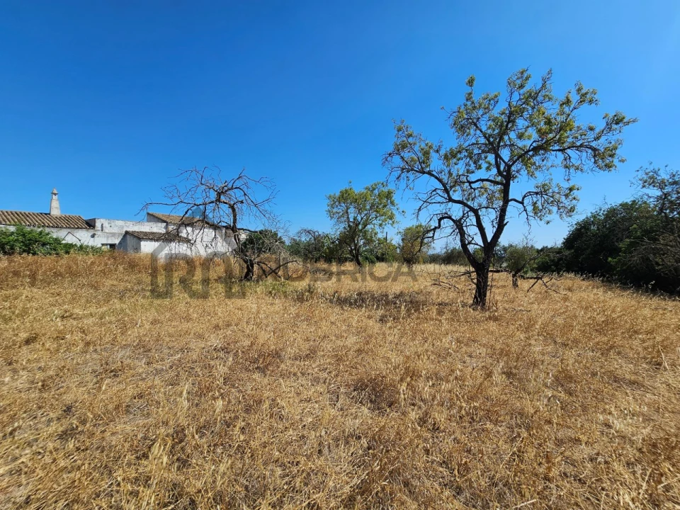 Quinta T5 para Venda em Loule (São Clemente) Foto 12
