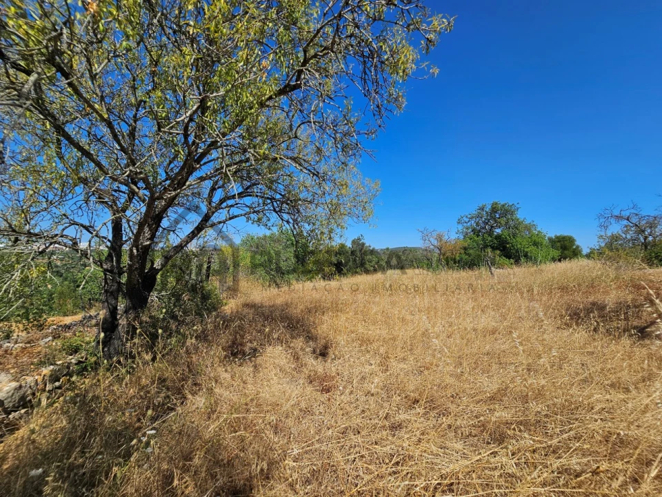 Quinta T5 para Venda em Loule (São Clemente) Foto 15