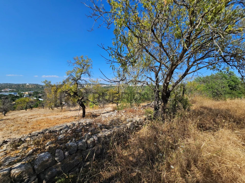 Quinta T5 para Venda em Loule (São Clemente) Foto 16