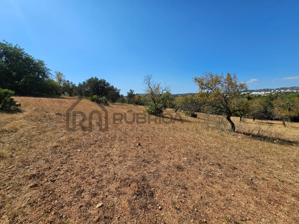 Quinta T5 para Venda em Loule (São Clemente) Foto 17