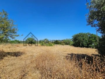 Quinta T5 para Venda em Loule (São Clemente)