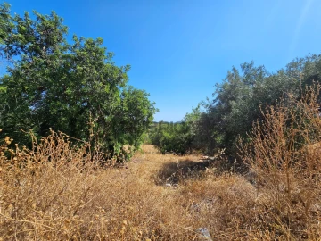 Quinta T5 para Venda em Loule (São Clemente)