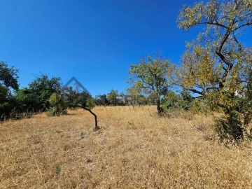 Quinta T5 para Venda em Loule (São Clemente)
