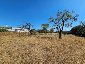 Quinta T5 para Venda em Loule (São Clemente)