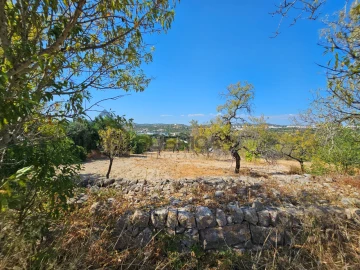 Quinta T5 para Venda em Loule (São Clemente)