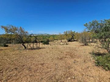 Quinta T5 para Venda em Loule (São Clemente)