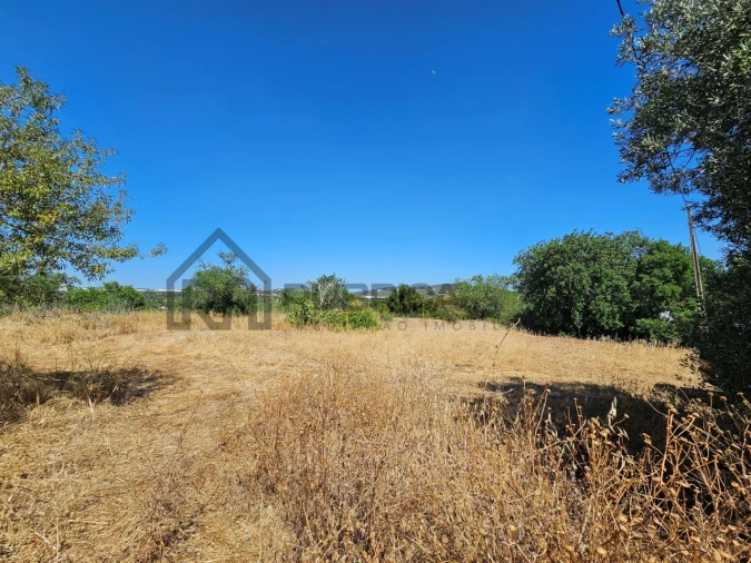 Quinta T5 para Venda em Loule (São Clemente) Foto 3