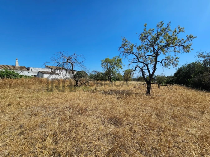 Quinta T5 para Venda em Loule (São Clemente) Foto 12