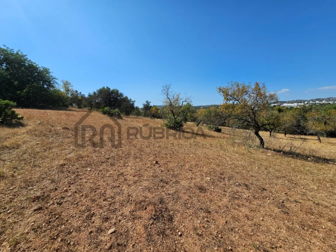 Quinta T5 para Venda em Loule (São Clemente) Foto 17