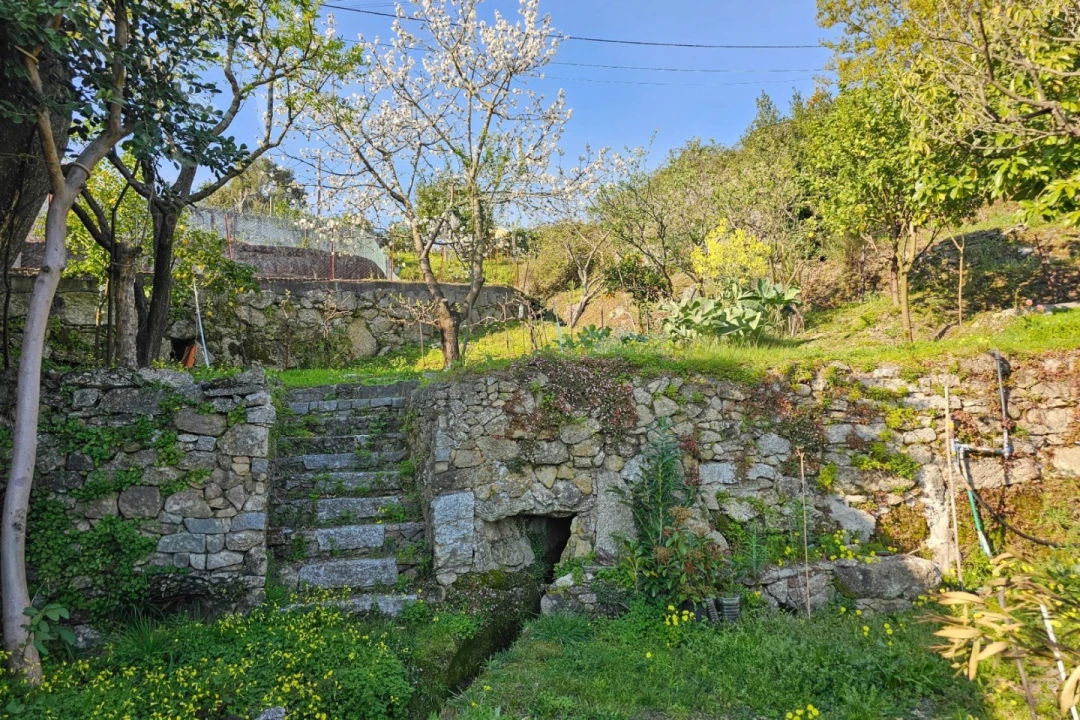 Moradia T4 para Venda em Calvos e Frades Foto 15