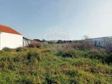 Terreno para Venda em Aveiras de Cima