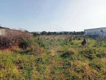 Terreno para Venda em Aveiras de Cima