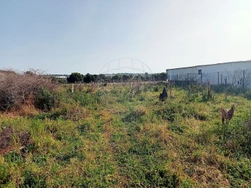 Terreno para Venda em Aveiras de Cima